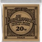 Ernie Ball Earthwood Phosphor Bronze Akustinės gitaros stygos .020 EB-001