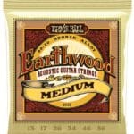 Ernie Ball Earthwood Medium EB2002 - akustinės gitaros stygos 13-56