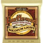 Ernie Ball Earthwood 80/20 EB-2003 - akustinės gitaros stygos 12-54