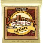 Ernie Ball Earthwood 80/20 Bronze 2004 - akustinės gitaros stygos 11-52