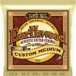 Ernie Ball Earthwood 80/20 Bronze EB2005 - akustinės gitaros stygos 12.5