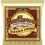 Ernie Ball Earthwood 80/20 Bronze 2006 - akustinės gitaros stygos 10-50