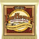 Ernie Ball Earthwood Custom Light EB12345 - akustinės gitaros stygos 12-stygų