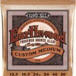 Ernie Ball Earthwood Phosphor Bronze EB2143 - akustinės gitaros stygos 12.5