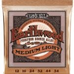 Ernie Ball Earthwood Phosphor Bronze EB2146 - akustinės gitaros stygos 12-54