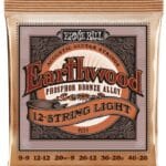 Ernie Ball Earthwood Phosphor Bronze EB2153 - akustinės gitaros stygos 12-os