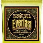 Ernie Ball Everlast EB2554 - akustinės gitaros stygos 13-56