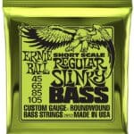 Ernie Ball Regular Slinky EB2852 - bosinės gitaros stygos 45-105