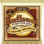 Ernie Ball Earthwood 80/20 Bronze EB3005 - akustinės gitaros stygos medium