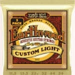 Ernie Ball Earthwood EB3007 - akustinės gitaros stygos 11-52