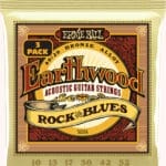 Ernie Ball Earthwood 80/20 Bronze EB3008 - akustinės gitaros stygos