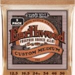 Ernie Ball Earthwood Phosphor Bronze EB3543 - akustinės gitaros stygos 012.5-056