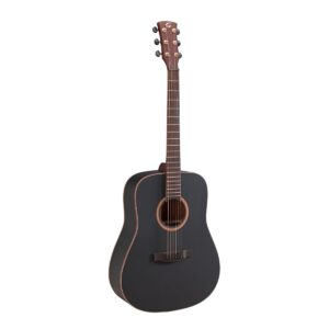 SHADOW series acoustic guitar