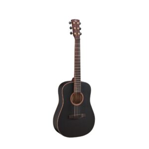 SHADOW series acoustic guitar (compact size)