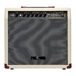 30W electric guitar vintage combo with reverb