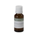 Centolight Blend of Essences - obuolių kvapo skystis 20ml