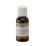 Soundsation FF20ML-KIWI - kvapų esencija dūmų skysčiui