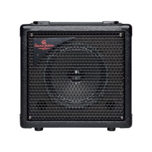 Electric bass combo 15W