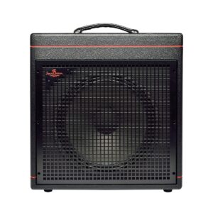 Electric bass combo 60W