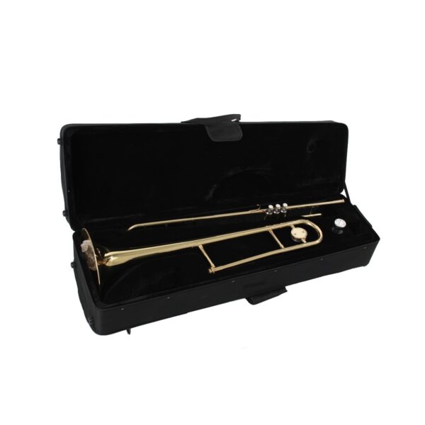 Case for trombone Bb