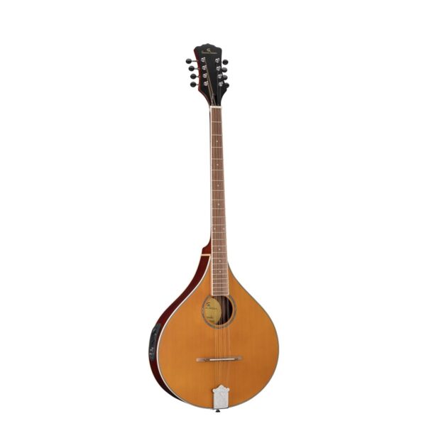 Irish Bouzouki