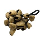 Seedpod Rattle Pangi