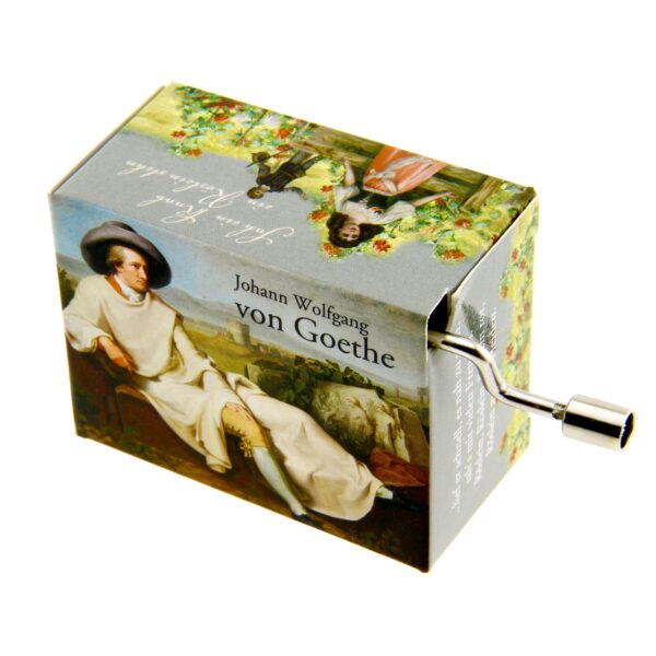 Music Box Rose on the Heath