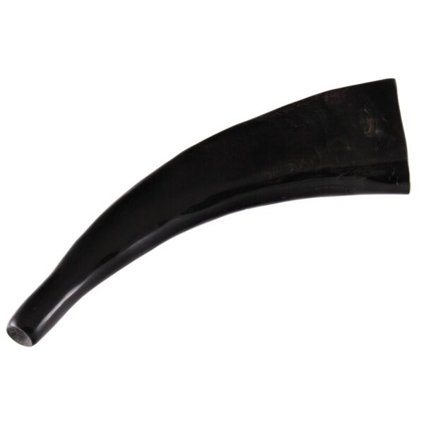 Water Buffalo Bugle Polished