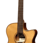 Auditorium cutaway electro T118ACE