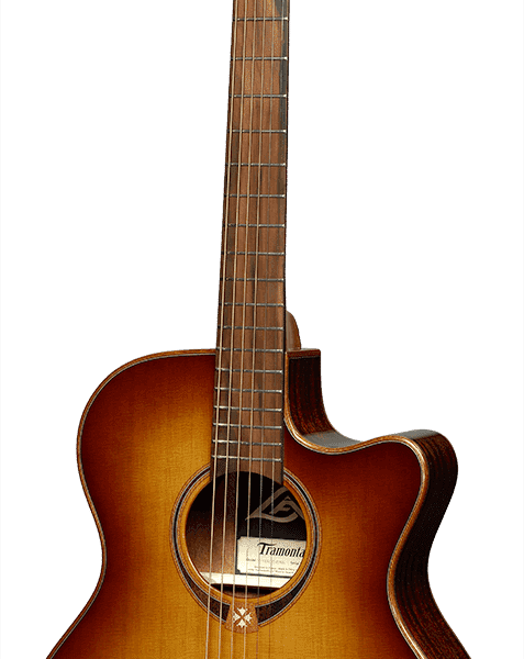Auditorium cutaway electro brown shadow T118ACE BRS