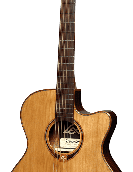 Auditorium slim cutaway electro T118ASCE