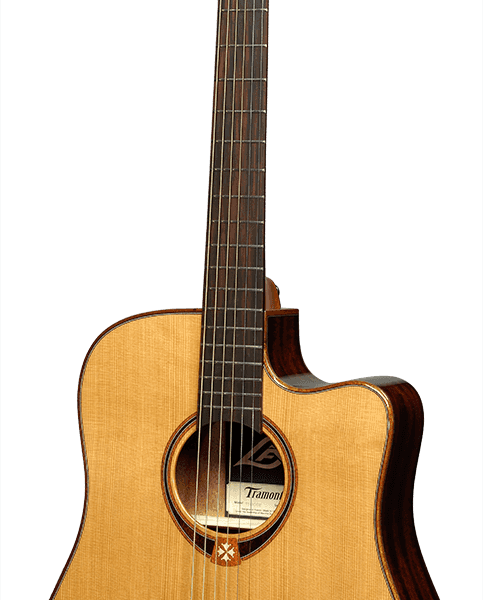Dreadnought cutaway electro T118DCE