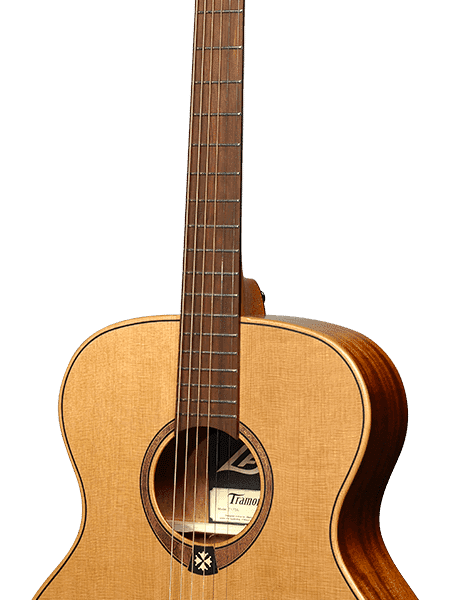 Tramontane Auditorium red cedar - khaya T170A