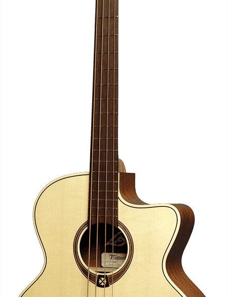 Acoustic Bass T177BCE