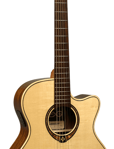 Auditorium cutaway electro T318ACE