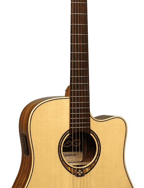 Dreadnought cutaway electro T318DCE