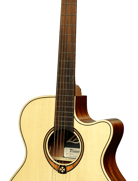 Auditorium cutaway electro T88ACE