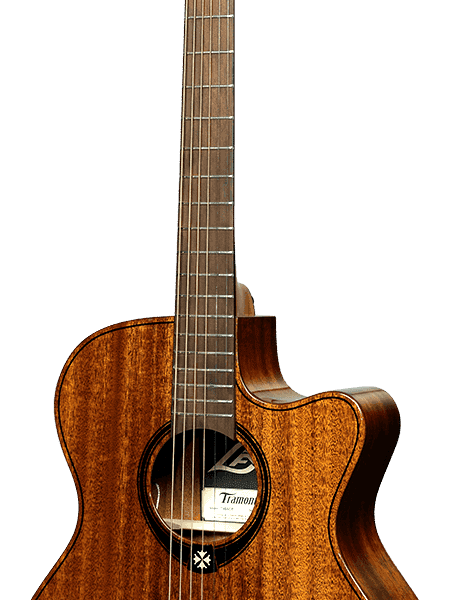 Auditorium, cutaway, electro T98ACE