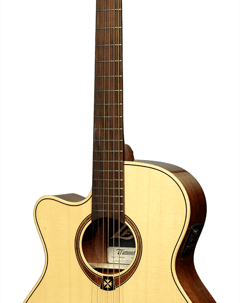 Lefty auditorium cutaway electro TL88ACE