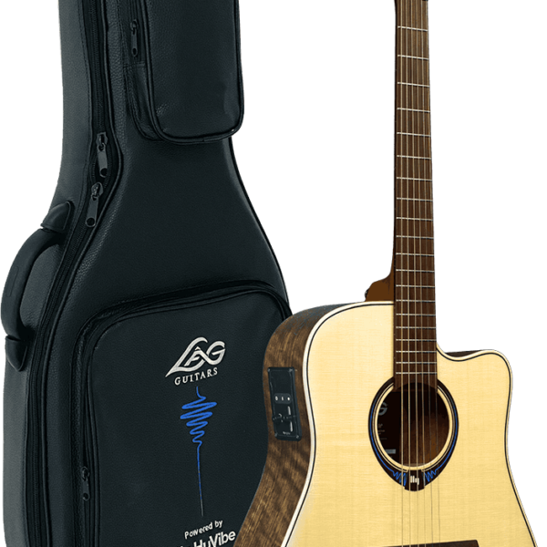 Hyvibe, cutaway, glossy, case THV20DCE