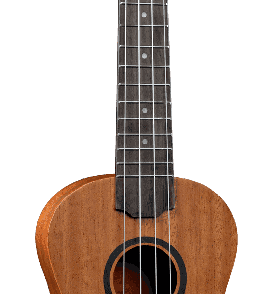Tiki Uku Concert slim arch back TKU110C