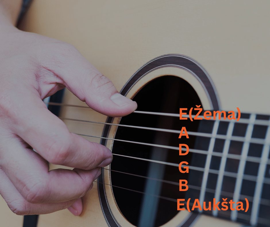Gitaros stygų numeracija