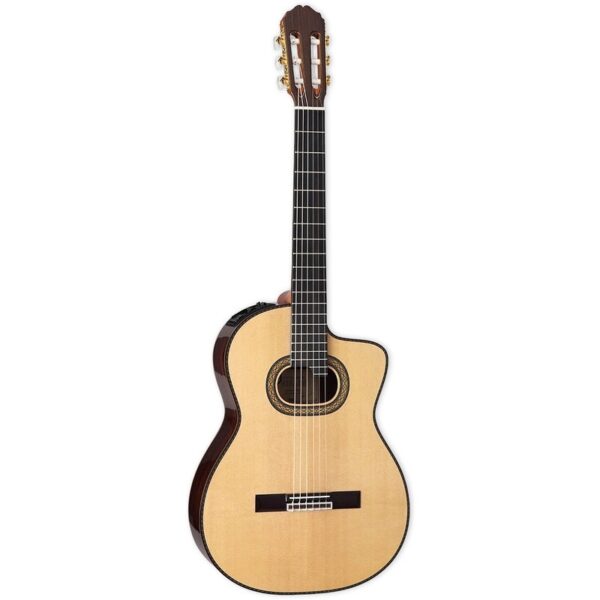 Takamine DH90
