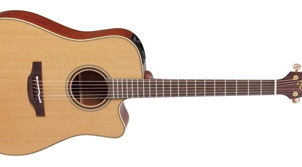 Takamine P3DC
