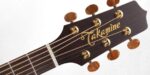 Takamine P3DC - Image 3