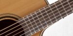Takamine P3DC - Image 5