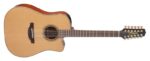 Takamine P3DC-12