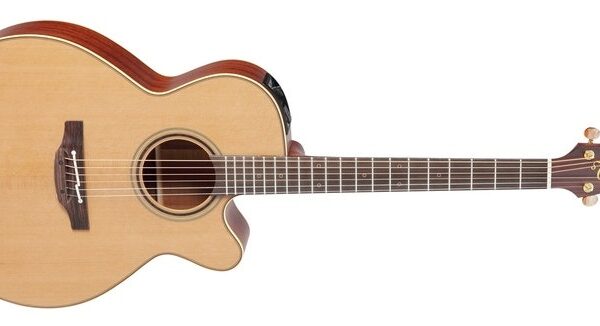 Takamine P3NC