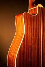 Takamine P4DC - Image 5