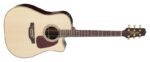 Takamine P5DC
